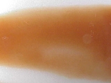 栗茶